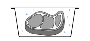 MAP packaging in thermoforming